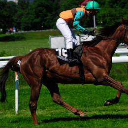 GaloprennenFFM_46_2010-06-03