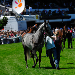 GaloprennenFFM_25_2010-06-03