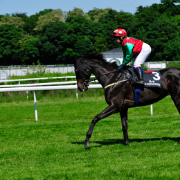 GaloprennenFFM_40_2010-06-03