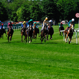 GaloprennenFFM_44_2010-06-03
