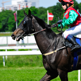 GaloprennenFFM_47_2010-06-03