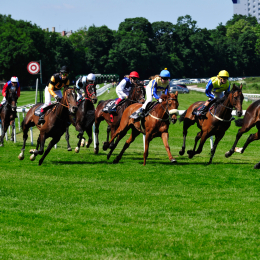 GaloprennenFFM_42_2010-06-03