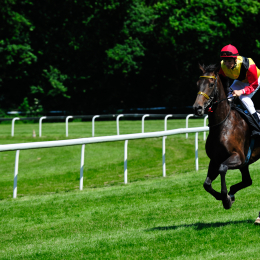 GaloprennenFFM_30_2010-06-03