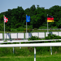 GaloprennenFFM_28_2010-06-03