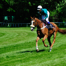 GaloprennenFFM_31_2010-06-03