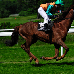 GaloprennenFFM_45_2010-06-03