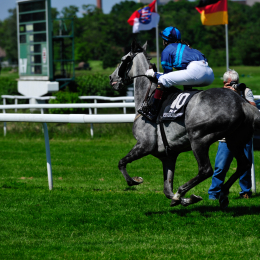 GaloprennenFFM_34_2010-06-03