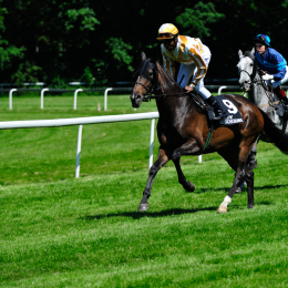 GaloprennenFFM_33_2010-06-03