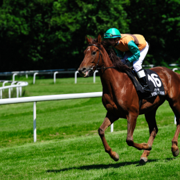 GaloprennenFFM_38_2010-06-03