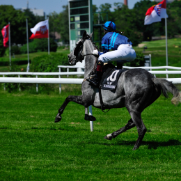 GaloprennenFFM_35_2010-06-03