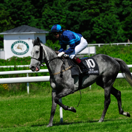 GaloprennenFFM_50_2010-06-03