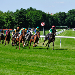 GaloprennenFFM_41_2010-06-03