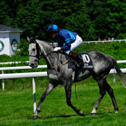 GaloprennenFFM_49_2010-06-03