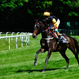 GaloprennenFFM_32_2010-06-03