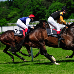 GaloprennenFFM_43_2010-06-03