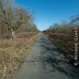 Kuehkopf__20180225_007