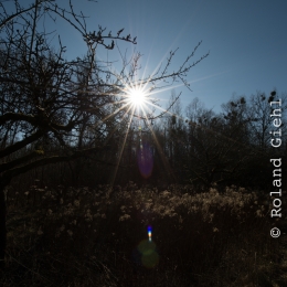 Kuehkopf__20180225_008