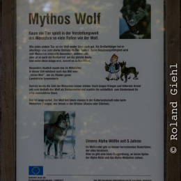 Adler-Wolfspark_Kesselburg_20151001_031