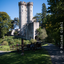 Adler-Wolfspark_Kesselburg_20151001_001
