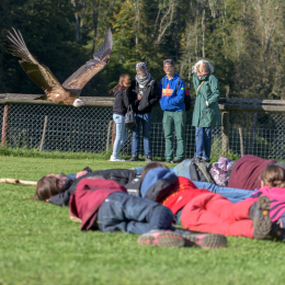 Adler-Wolfspark_Kesselburg_20151001_023