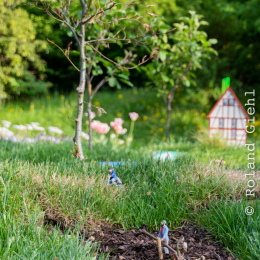 LGS_Bad-Schwalbach_20180512_032