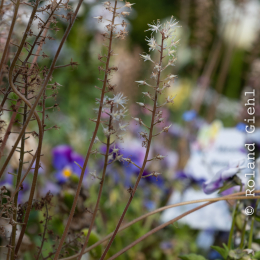 LGS_Bad-Schwalbach_20180512_014