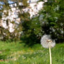 LGS_Bad-Schwalbach_20180512_042