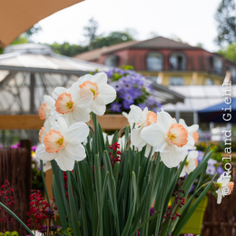 LGS_Bad-Schwalbach_20180512_027