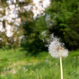 LGS_Bad-Schwalbach_20180512_041