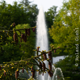 LGS_Bad-Schwalbach_20180512_037