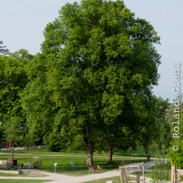 LGS_Bad-Schwalbach_20180512_020