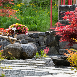 LGS_Bad-Schwalbach_20180512_024