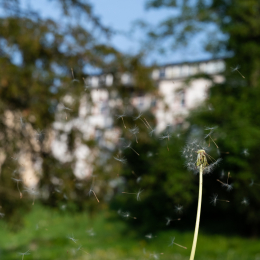 LGS_Bad-Schwalbach_20180512_040