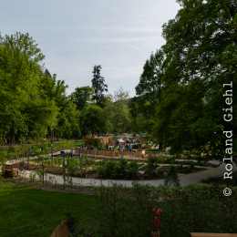 LGS_Bad-Schwalbach_20180512_017