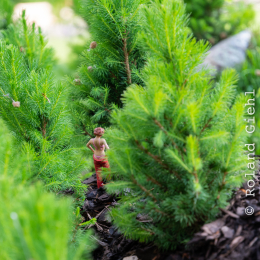 LGS_Bad-Schwalbach_20180512_035
