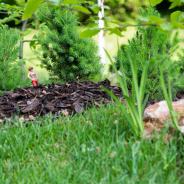 LGS_Bad-Schwalbach_20180512_033