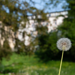 LGS_Bad-Schwalbach_20180512_039