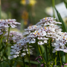 LGS_Bad-Schwalbach_20180512_012
