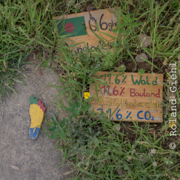 Landesgartenschau_Landau_20150801_046