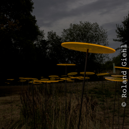 Landesgartenschau_Landau_20150801_042