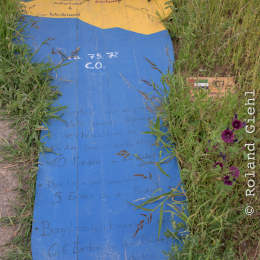 Landesgartenschau_Landau_20150801_045