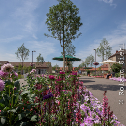 Landesgartenschau_Landau_20150801_007