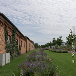 Landesgartenschau_Landau_20150801_008
