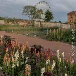 Landesgartenschau_Landau_20150801_050