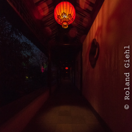 Luisienpark_Mannheim_Winterlichter_20150124_323