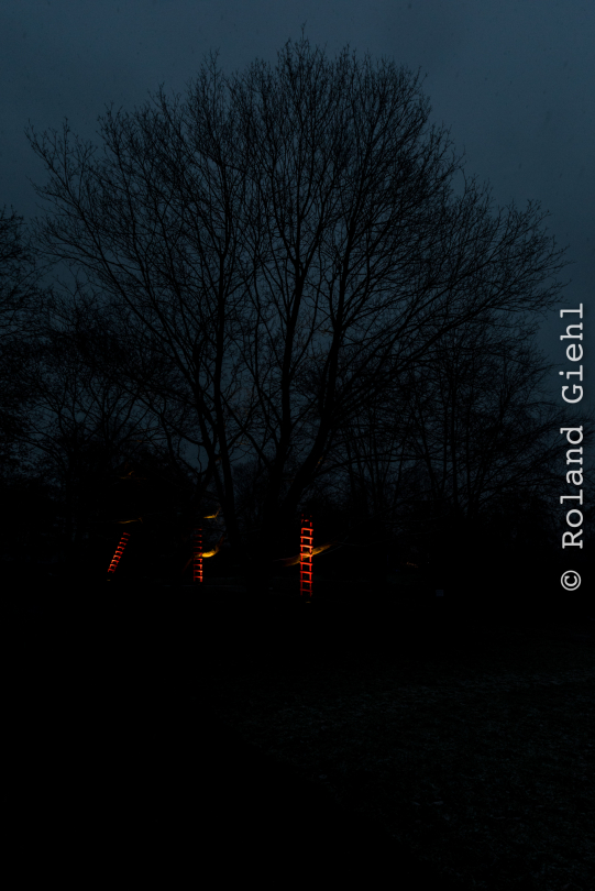 Luisienpark_Mannheim_Winterlichter_20150124_305