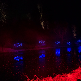 Luisienpark_Mannheim_Winterlichter_20150124_338