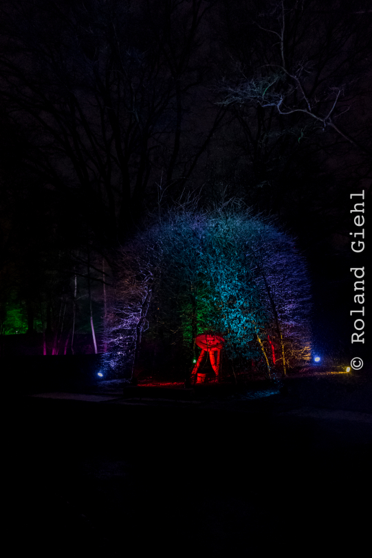 Luisienpark_Mannheim_Winterlichter_20150124_328