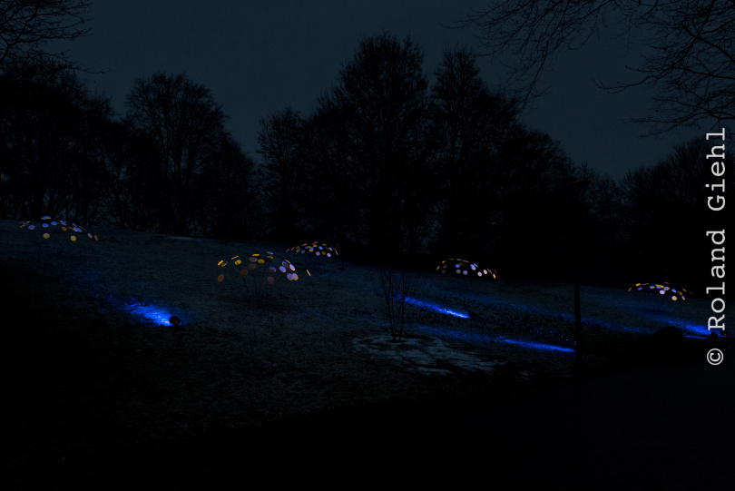 Luisienpark_Mannheim_Winterlichter_20150124_311