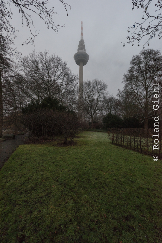 Luisienpark_Mannheim_Winterlichter_20150124_289